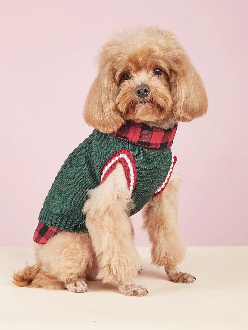 Gilet tricoté torsadé pour chien avec col à carreaux idéal pour l'automne et l'hiver – Image 5