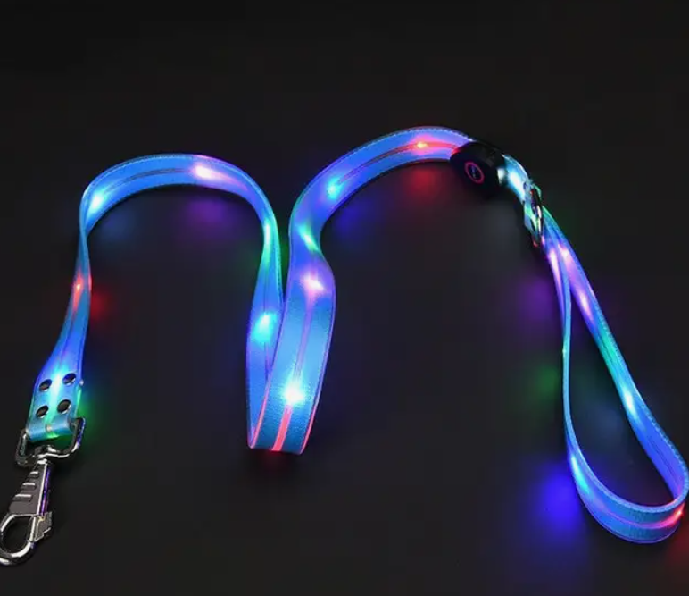 Laisse LED rechargeable – Image 6
