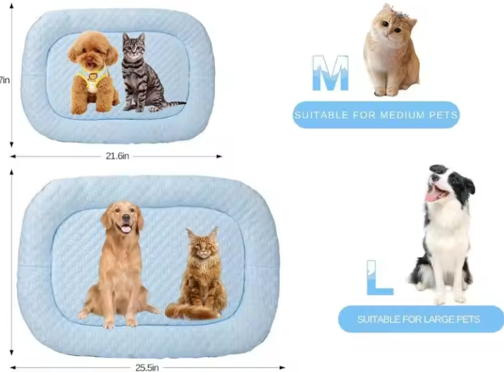 Coussin d’été – Image 2