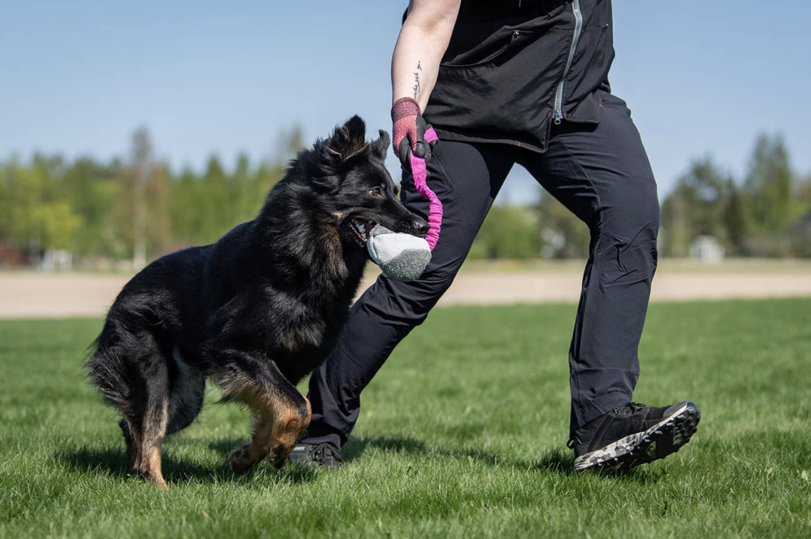 BungeeChewie ball – Balle Chewie avec amortisseur – Image 4