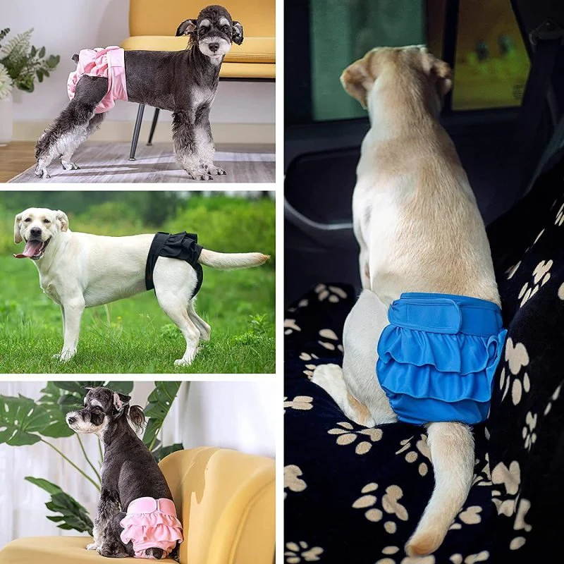 culotte pour chien – Image 7