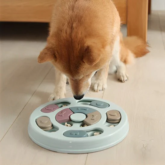 Jeux pour chien | CandyPets™ – Image 2