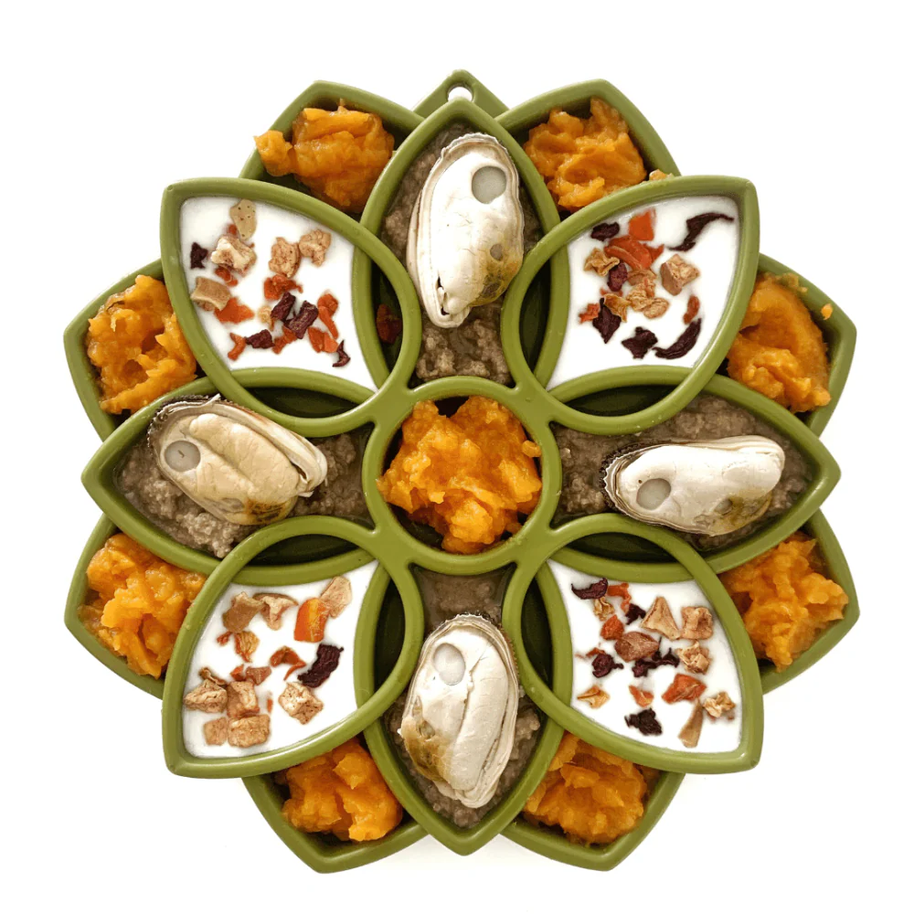 Plateau d'enrichissement anti-glouton Mandala – Sodapup – Image 4