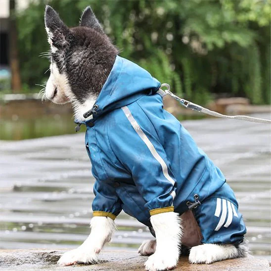 MANTEAU IMPERMÉABLE POUR CHIEN – Image 6