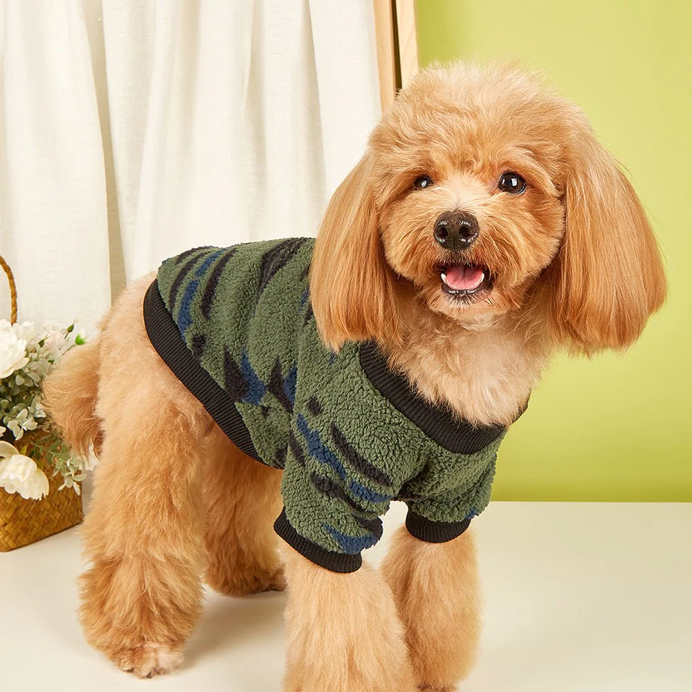 pull chien| laine – Image 4