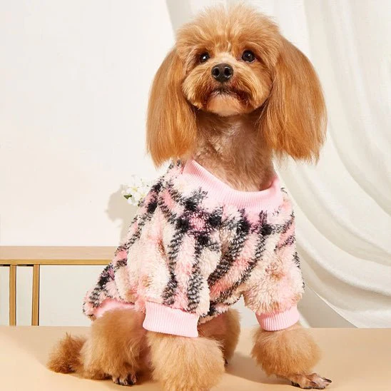 pull chien| laine – Image 2