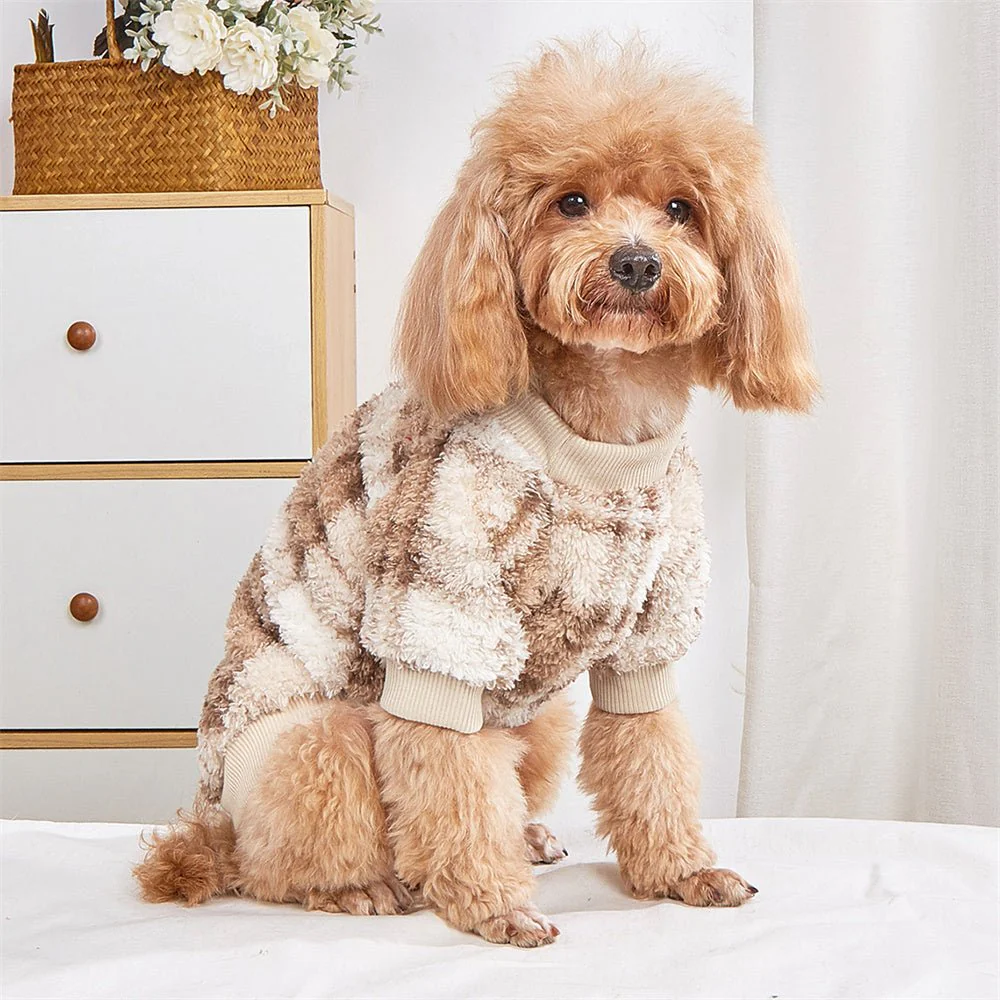 pull chien| laine – Image 5