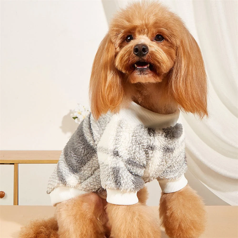 pull chien| laine – Image 6